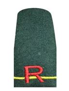 The Bharat Scouts and Guides Karnataka | Empowering Youth for a Better ...