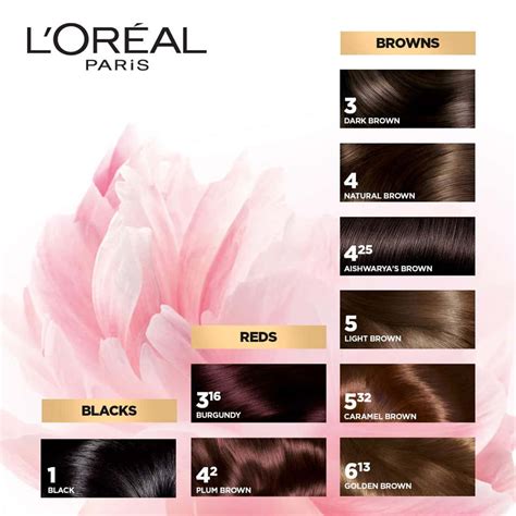Buy L'OREAL PARIS EXCELLENCE CREME 3.16 BURGUNDY (72ML + 100G) HAIR ...