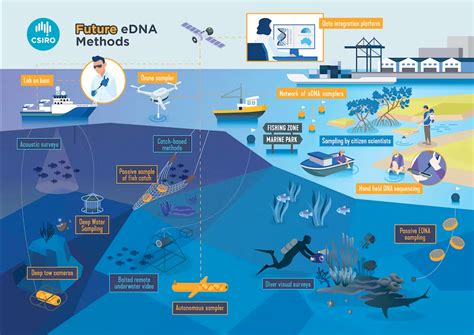 环境dna 的图像结果