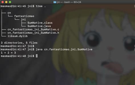 How to Fix the Java JNI Problem 的图像结果