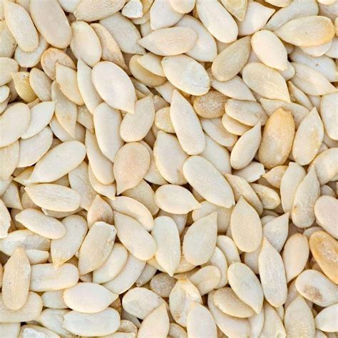 Buy Premium Quality Muskmelon Seeds Online - Sindhi Dry Fruits