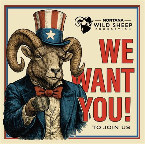 Billings State of the Sheep, Montana Fish, Wildlife & Parks - Region 5 ...