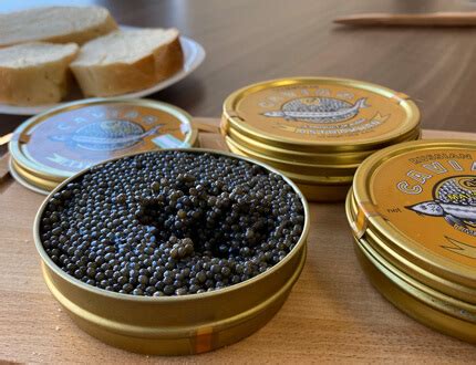 Икра черная забойная «Царская» 250г с бесплатной доставкой по Москве