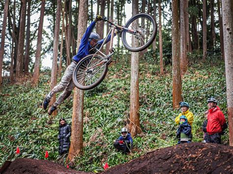 FOREST BIKE (2026) All You Need to Know BEFORE You Go (with Photos ...