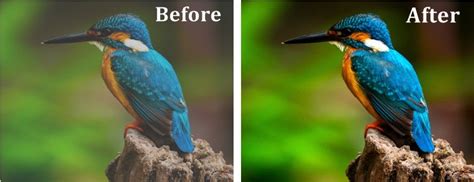 Cutout Pro Photo Enhancer: AI Se Photos Ko Enhance Kare