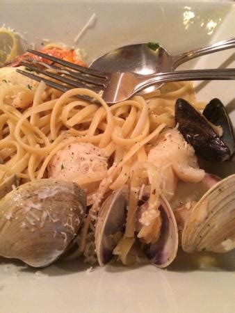 PO LE CUCINA, Spring House - Menu, Prices & Restaurant Reviews ...
