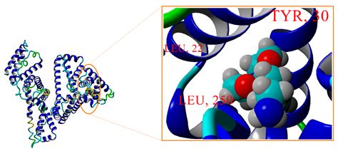 Chemical Attachment of 5-Nitrosalicylaldimine Motif to Silatrane ...