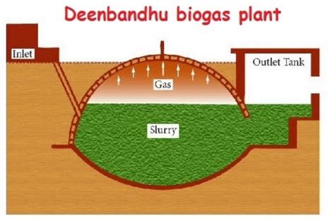 Navsari Agricultural University Kiosk