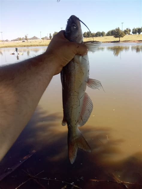 Wild Horse Park | Oklahoma Department of Wildlife Conservation
