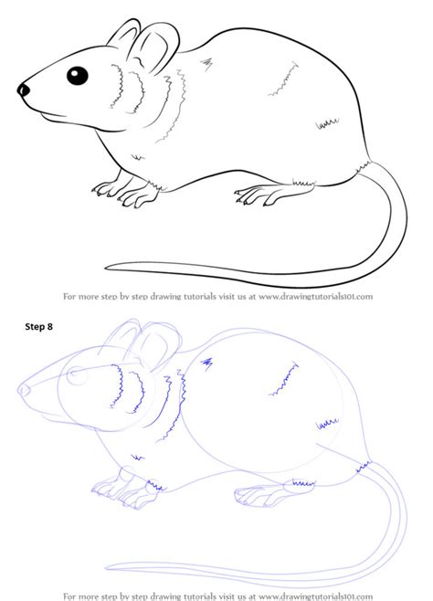 Image result for Simple Mouse Drawing