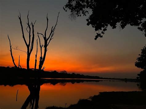 NSOBE GAME CAMP (Balanbeen) - Lodge Reviews, Photos, Rate Comparison ...