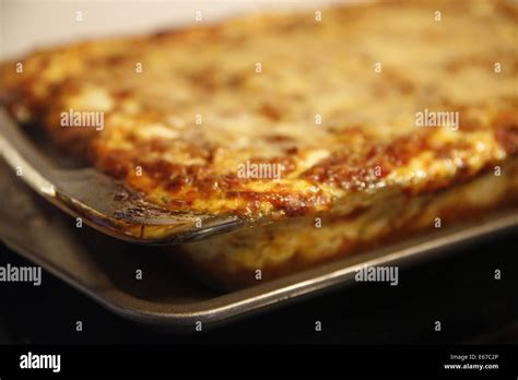 Process of Making Cheese 的图像结果