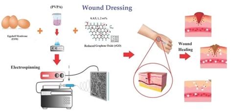 Polymers | Special Issue : Polymeric Materials for Biomedical Applications