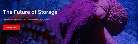 Storage Program 的图像结果