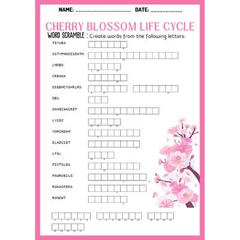 CHERRY BLOSSOM LIFE CYCLE bundle - word search & word scramble & crossword
