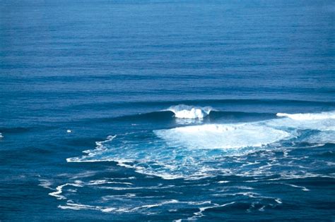 Image result for Wave Button Animation. CSS