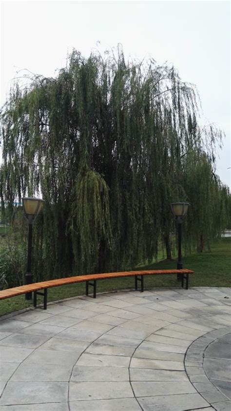 DONGFANG HOTEL (SHENLONG STREET) (Wuhan) - Motel Reviews & Photos ...