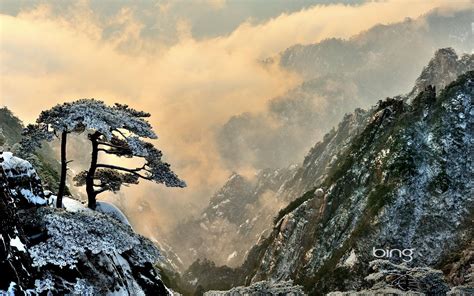 Bing手机壁纸 的图像结果