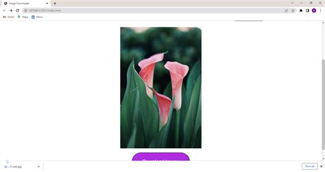 Image result for HTML CSS JavaScript Python PHP SVG Image Download