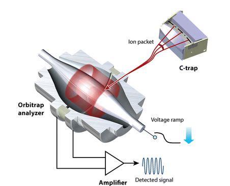 Image result for orbitrap