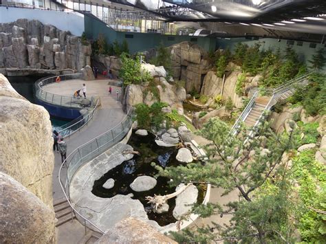 Montreal Biosphere: The Iconic Geodesic Dome by Buckminster Fuller – Arcace