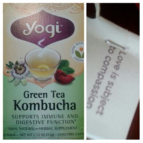 kombucha immune system