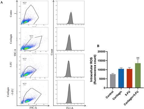 FlowJo Ros 的图像结果