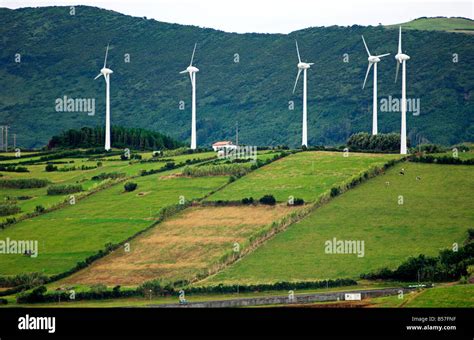 Wind Power 的图像结果