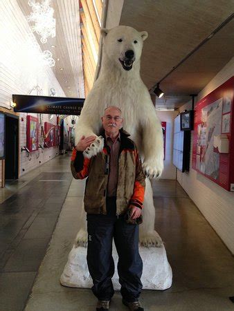 Glacier Tour (Balestrand) - What to Know BEFORE You Go