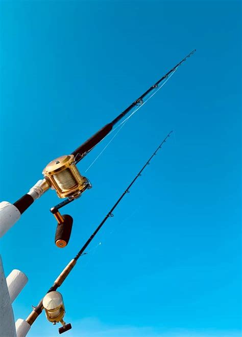 Image result for Fishing Rod Types