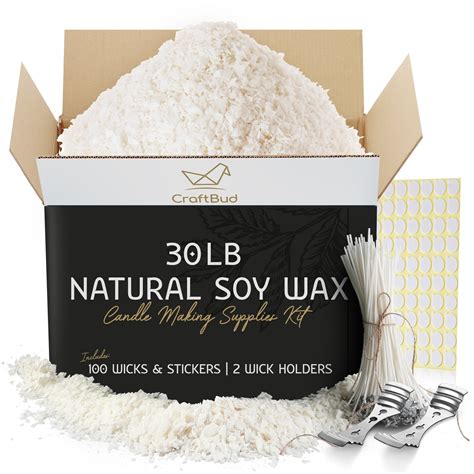 Craftbud DIY Natural Soy Candle Wax, Bulk Candle Making Supplies for ...