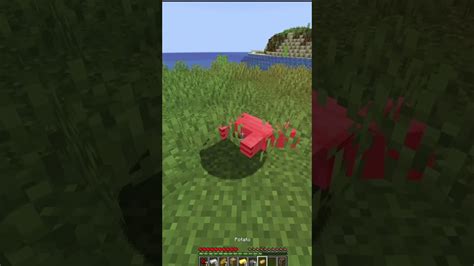 Image result for Random Minecraft Block