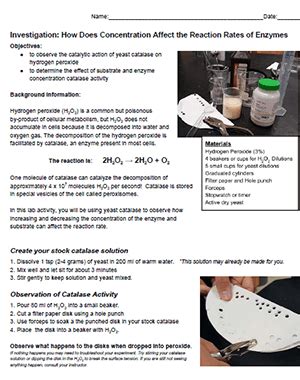 Image result for How to Perform Enzyme-Substrate Method Using Quanti Trays