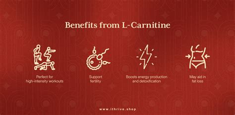 What Is CoQ10 and L-Carnitine, and How Can It Change Your Life ...