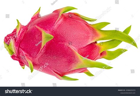 Dragon Fruit Fruit