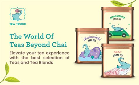Tea Trunk Mango Mint Green Tea 100gm with Natural Flavours – Refreshing ...