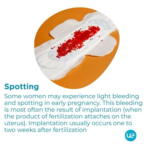 What Does Spotting Look Like
