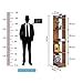 Lukzer Engineered Wood 5 Tier Corner Shelf Bookcase Storage Organizer ...