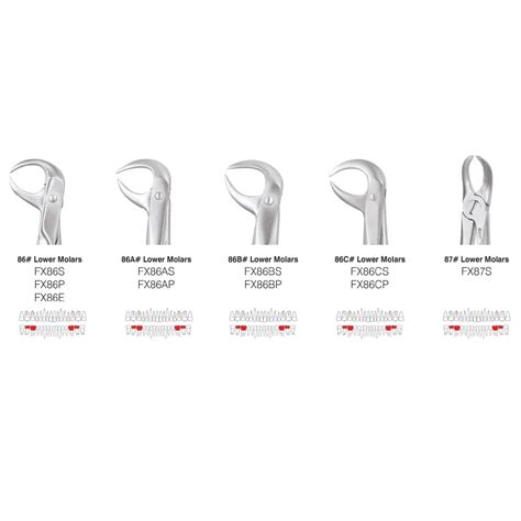 GDC Extraction Forceps Standard – Hok & medical
