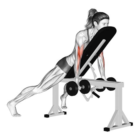 Incline Dumbbell Curl: Benefits, Muscles Worked, and More - Inspire US