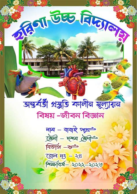 Science Project Software 的图像结果