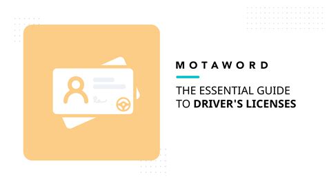 Image result for Drivers License Requirements