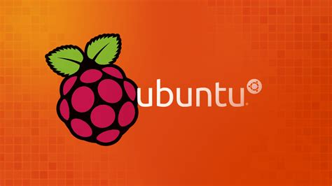 Raspberry Pi Ubuntu 的图像结果