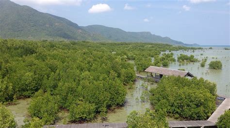 SUNNYDAYS HOMESTAY (Jepara) - Resort Reviews, Photos, Rate Comparison ...