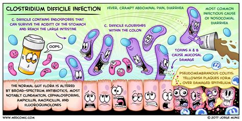 Clostridium difficile Infection | MedComic