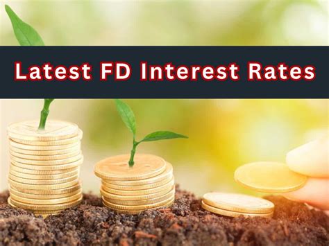FD Rates for Rs 5,00,000 One-Time Investment: Compare SBI, HDFC Bank ...