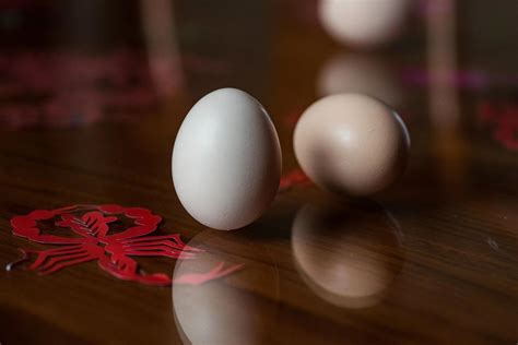 春分节气“立鸡蛋”庆春天_中国习俗_习俗文化_食品科技网