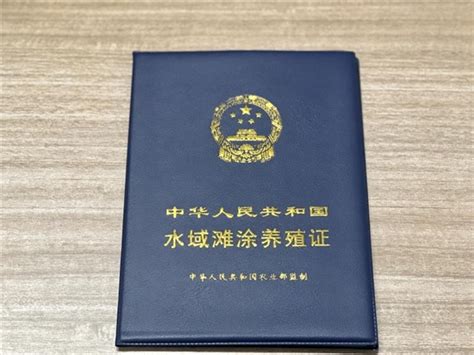 洛杉矶renew护照&中国探亲签证流水账