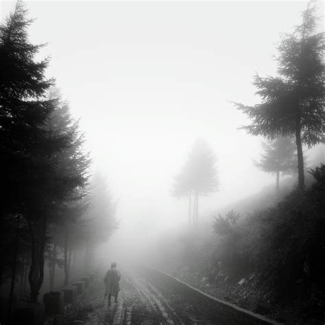 一个人在雾里走的图片,一个人在大雾中的图片,朦朦胧胧的雾的图片_大山谷图库