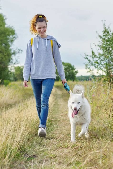 Walking 5000 Steps at Home 的图像结果